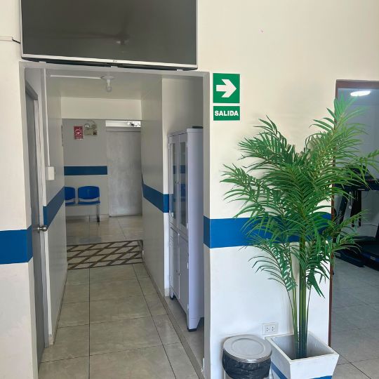 galeria ecocardiograma